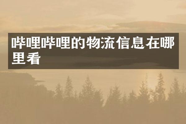 哔哩哔哩的物流信息在哪里看