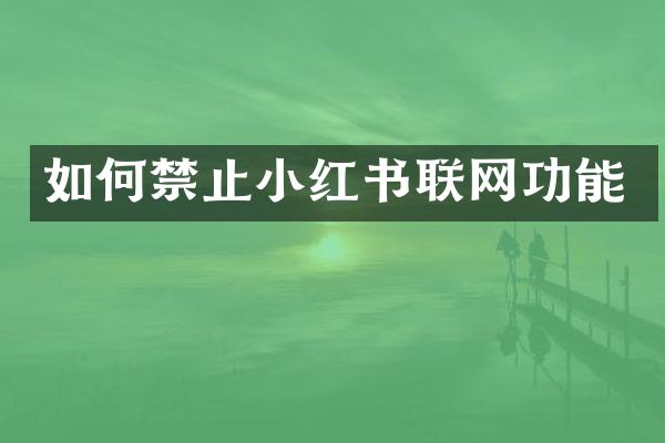 如何禁止小红书联网功能