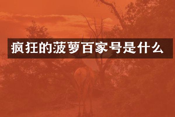 疯狂的菠萝百家号是什么