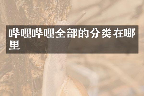 哔哩哔哩全部的分类在哪里