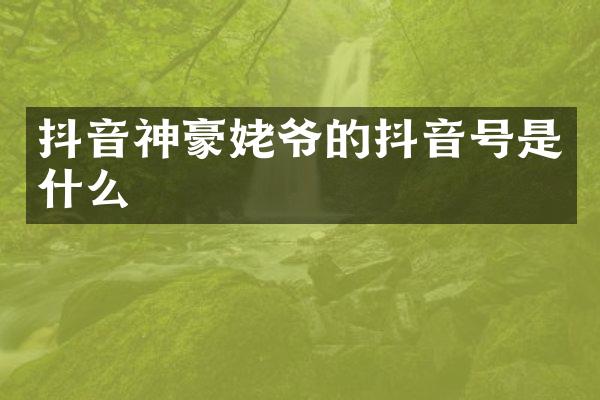 抖音神豪姥爷的抖音号是什么