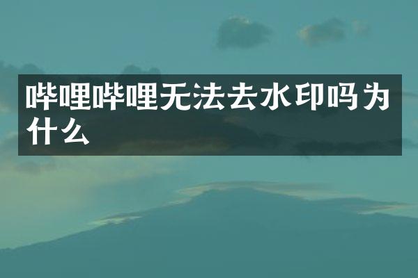 哔哩哔哩无法去水印吗为什么