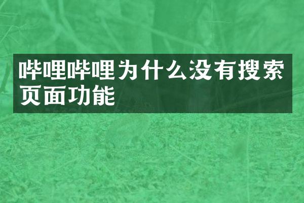 哔哩哔哩为什么没有搜索页面功能