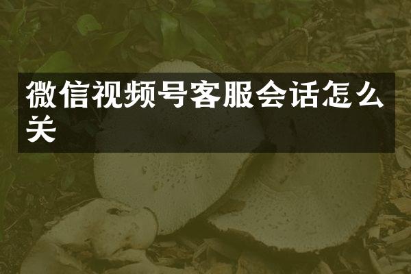 微信视频号客服会话怎么关