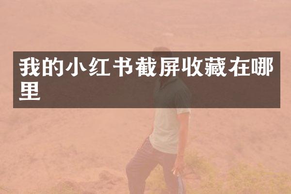 我的小红书截屏收藏在哪里