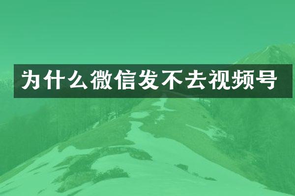 为什么微信发不去视频号