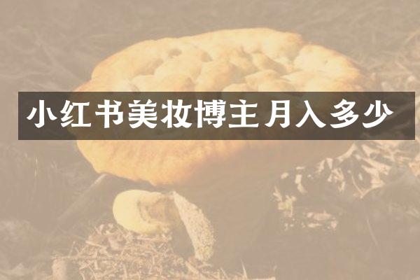 小红书美妆博主月入多少