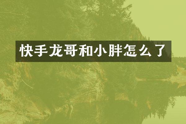 快手龙哥和小胖怎么了