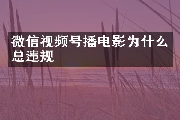 微信视频号播电影为什么总违规