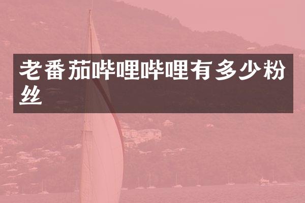 老番茄哔哩哔哩有多少粉丝