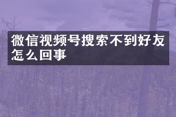 微信视频号搜索不到好友怎么回事