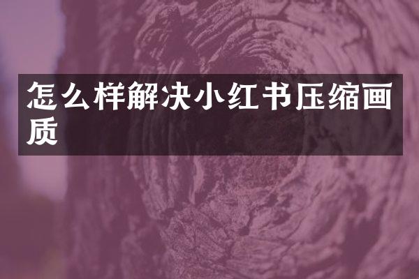 怎么样解决小红书压缩画质