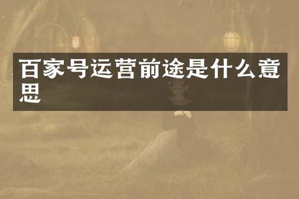 百家号运营前途是什么意思
