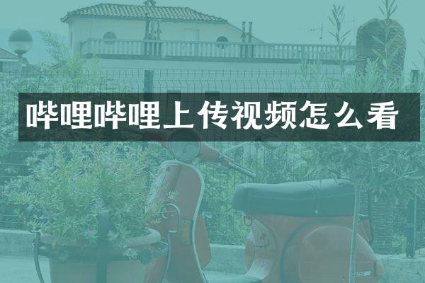 哔哩哔哩上传视频怎么看