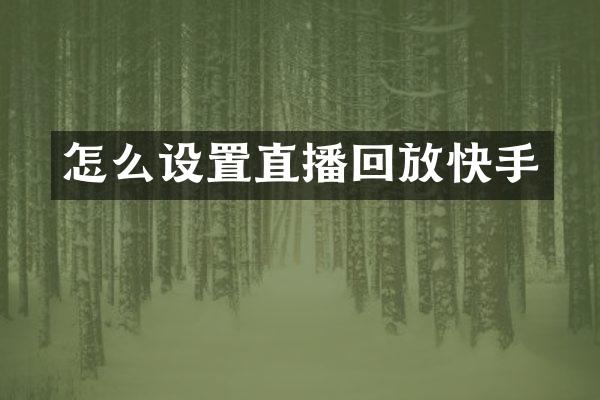 怎么设置直播回放快手