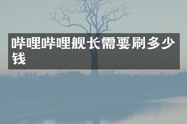 哔哩哔哩舰长需要刷多少钱