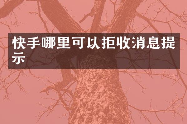 快手哪里可以拒收消息提示