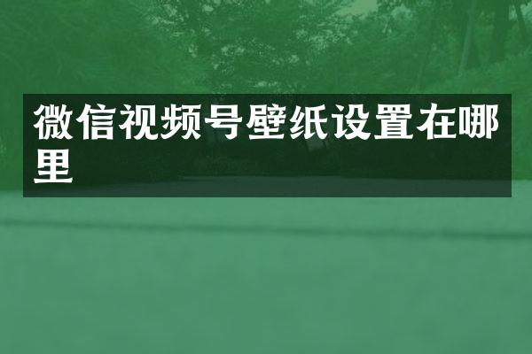 微信视频号壁纸设置在哪里