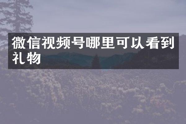 微信视频号哪里可以看到礼物