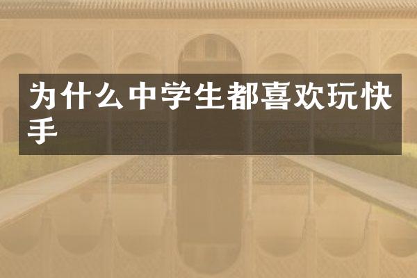 为什么中学生都喜欢玩快手