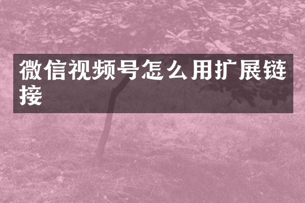微信视频号怎么用扩展链接