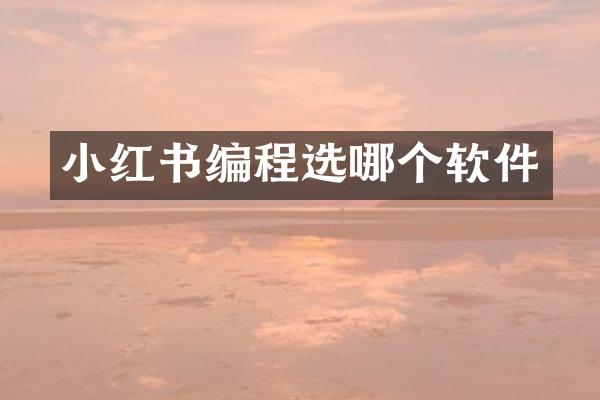 小红书编程选哪个软件