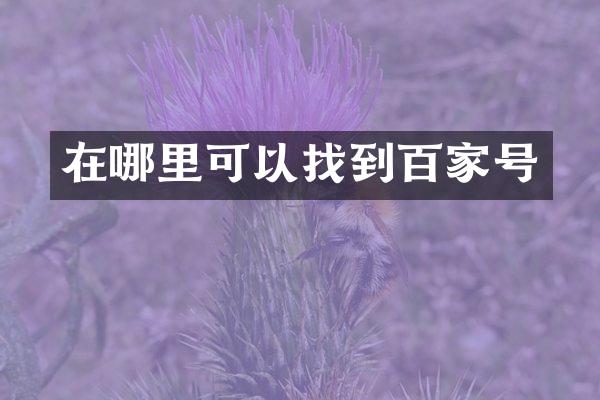 在哪里可以找到百家号