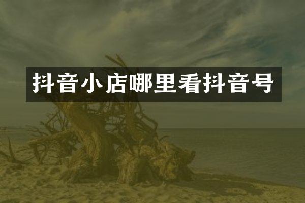 抖音小店哪里看抖音号