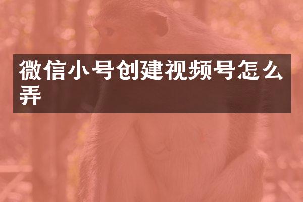 微信小号创建视频号怎么弄