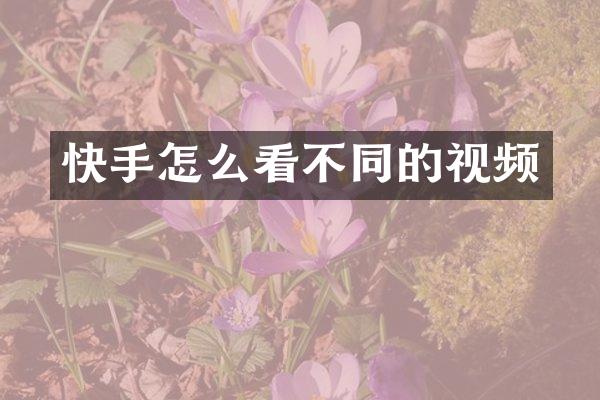 快手怎么看不同的视频
