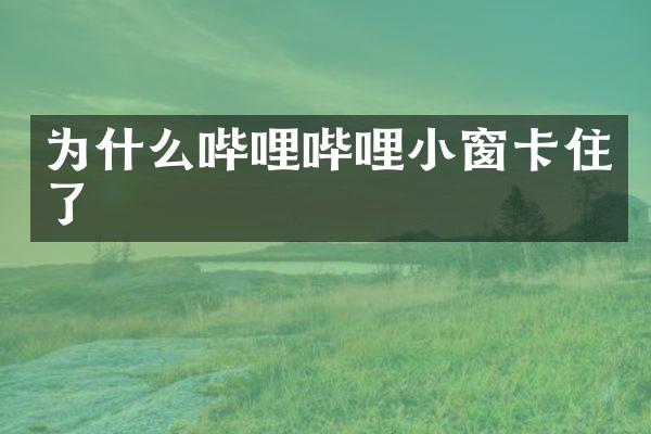 为什么哔哩哔哩小窗卡住了