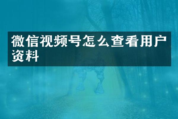 微信视频号怎么查看用户资料