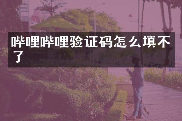 哔哩哔哩验证码怎么填不了