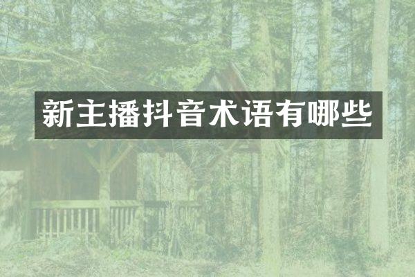 新主播抖音术语有哪些
