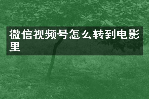 微信视频号怎么转到电影里