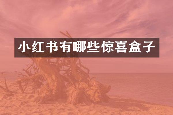 小红书有哪些惊喜盒子