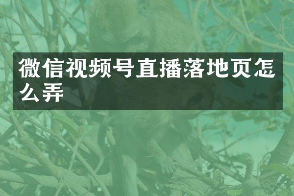 微信视频号直播落地页怎么弄