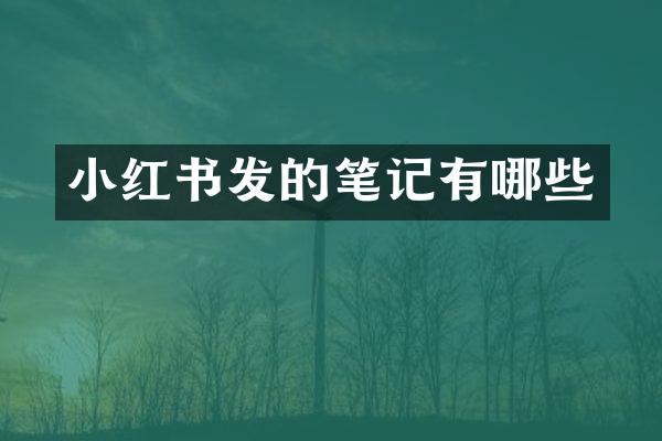 小红书发的笔记有哪些