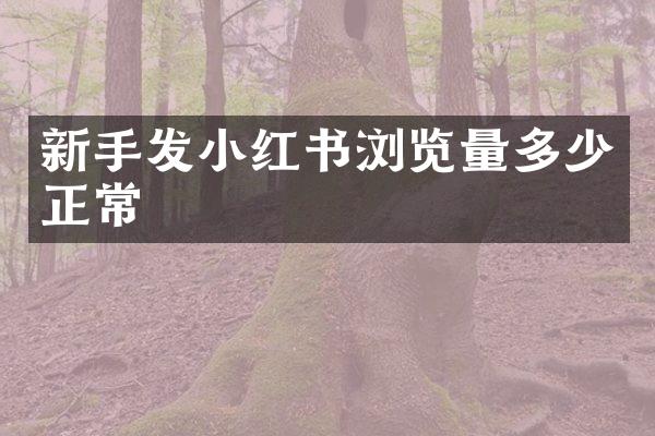 新手发小红书浏览量多少正常