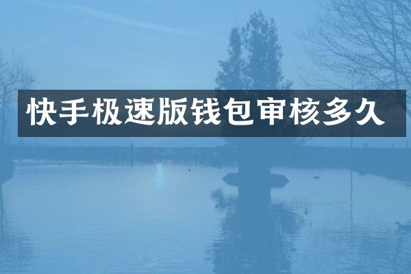 快手极速版钱包审核多久