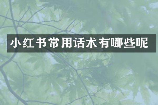 小红书常用话术有哪些呢