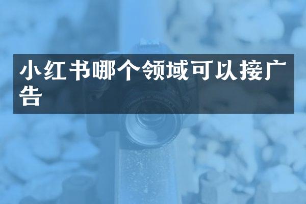 小红书哪个领域可以接广告