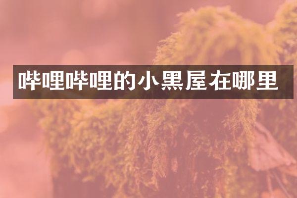 哔哩哔哩的小黑屋在哪里