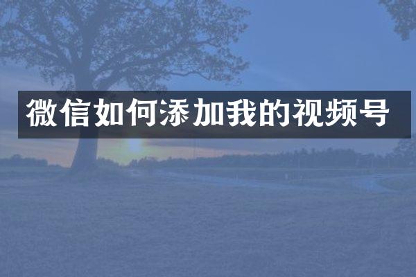 微信如何添加我的视频号