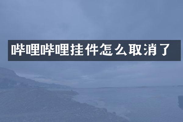 哔哩哔哩挂件怎么取消了