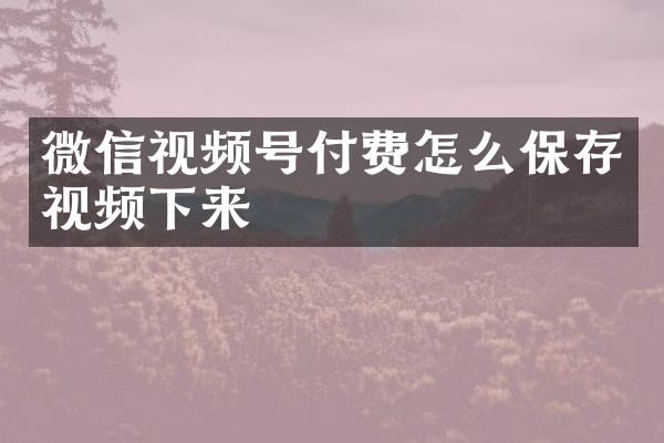 微信视频号付费怎么保存视频下来