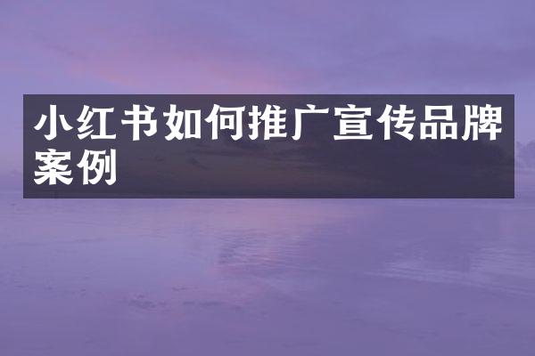 小红书如何推广宣传品牌案例