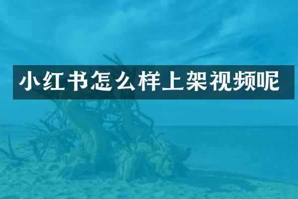 小红书怎么样上架视频呢