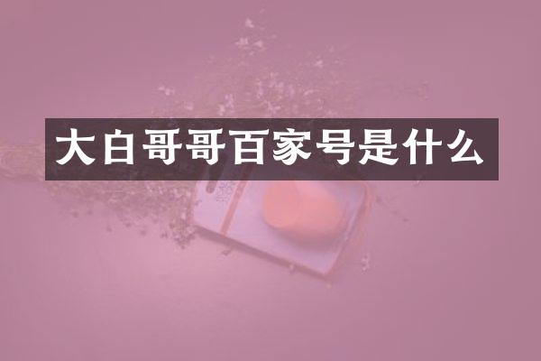 大白哥哥百家号是什么