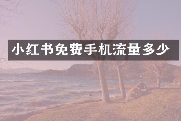 小红书免费手机流量多少